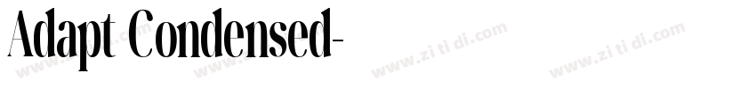 Adapt Condensed字体转换